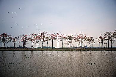 《星球大战绝地：幸存者》上架Steam 暂不支持中文